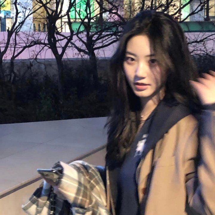 玫瑰夫大战玫瑰妻封面